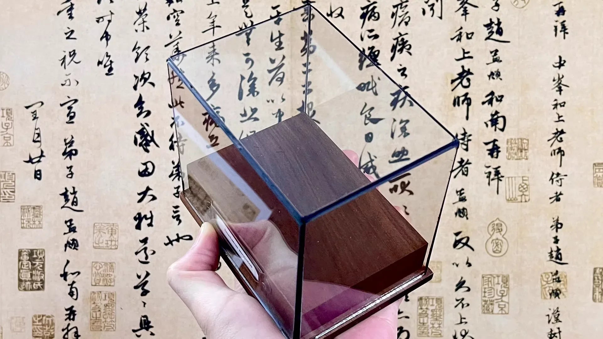 Calappa Lophos - Vzorek kraba s krabicovým tělem a skvrnitým krunýřem